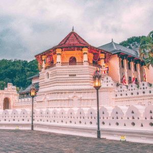 Multi Day Kandy Hill Side Tour with Tooth Temple via Sgiriya and Minneriya National Park